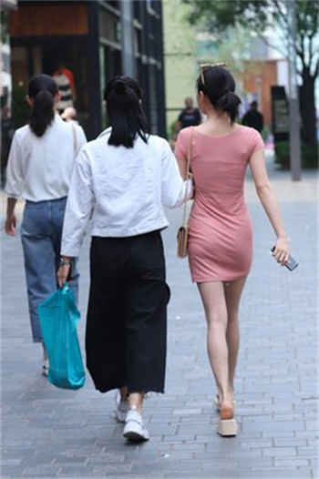 仙踪林贰佰信息网