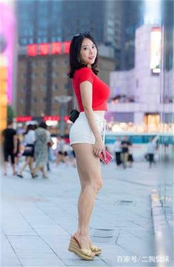 v群社区破解版