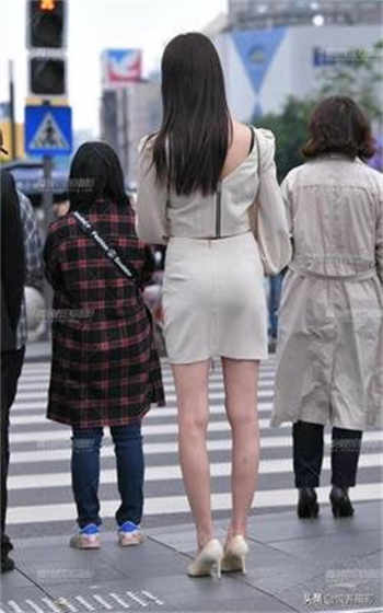 喵视频会员