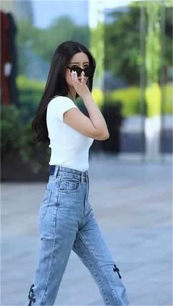 yoyo pet官方下载