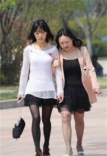 奶牛福利院导入色多多